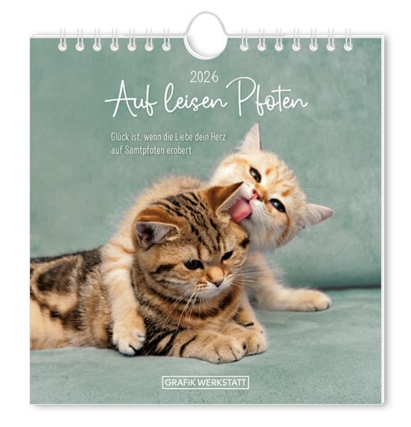 Postkartenkalender 2026 Auf leisen Pfoten