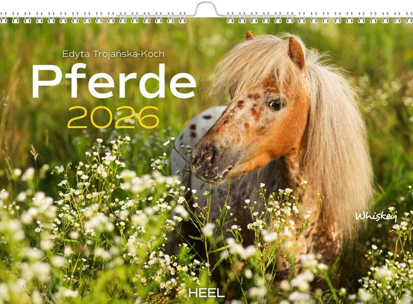 Pferde Kalender 2026 Wandkalender