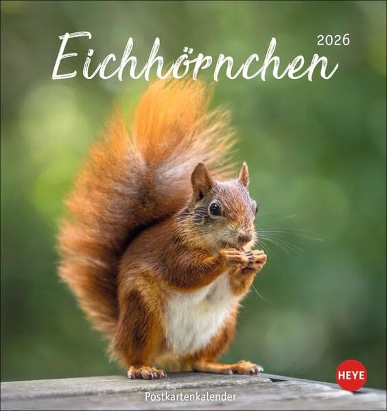 Eichhörnchen Postkartenkalender 2026