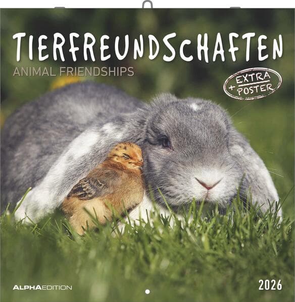 Tierfreundschaften 2026 - Broschürenkalender 30x30 cm (30x60 geöffnet) - Kalender mit Platz für Notizen - Animal Friendships - Bildkalender - Planer