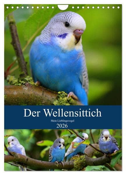 Der Wellensittich - Mein Lieblingsvogel (Wandkalender 2026 DIN A4 hoch), CALVENDO Monatskalender