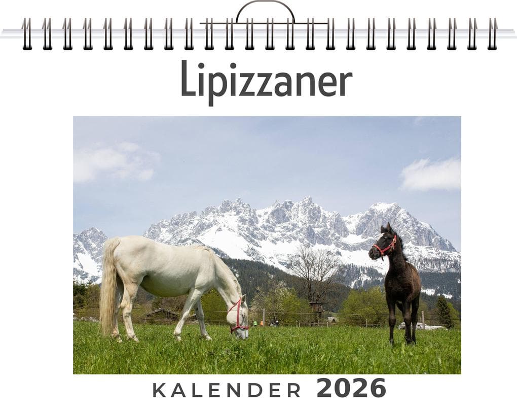 Lipizzaner