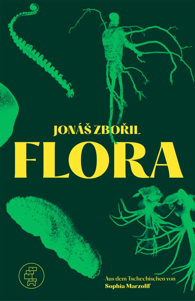 Flora