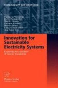 Innovation for Sustainable Electricity Systems