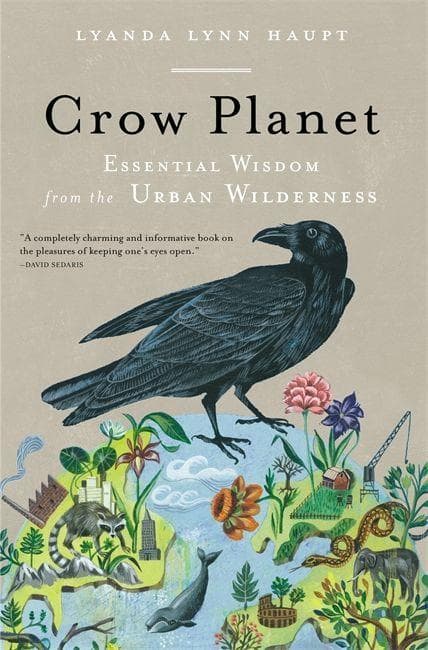 CROW PLANET