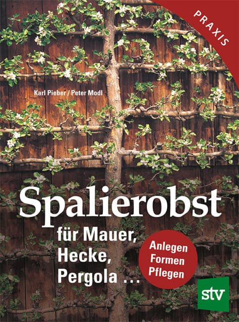 Spalierobst