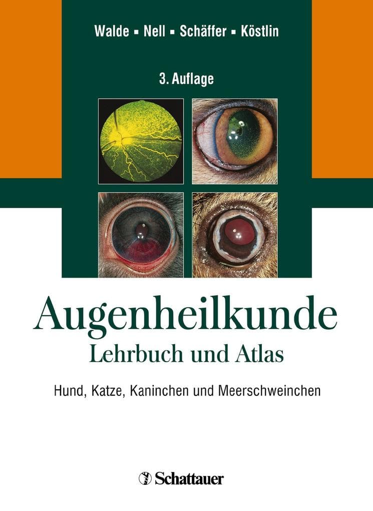 Augenheilkunde