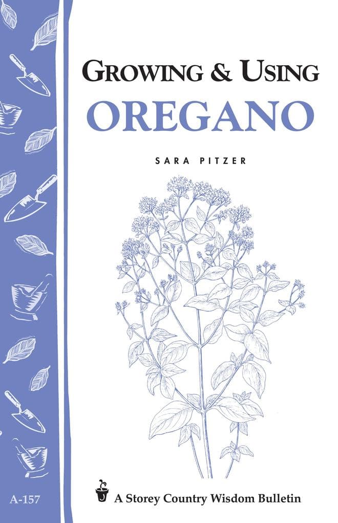 Growing & Using Oregano