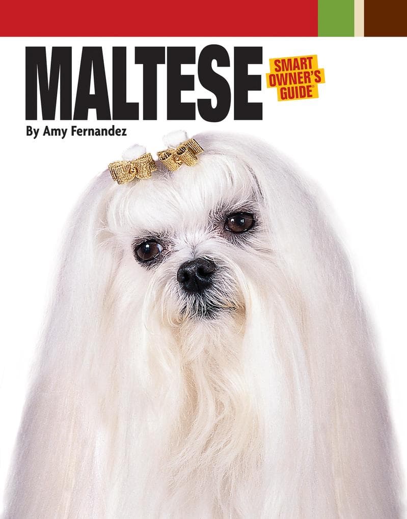 Maltese
