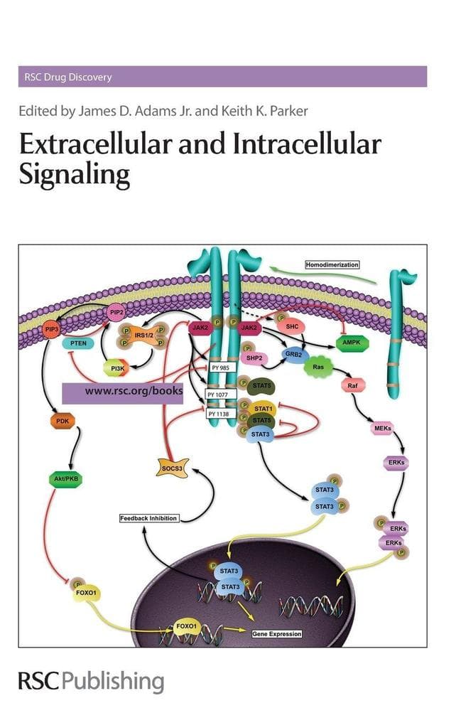 Extracellular and Intracellular Signaling