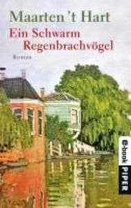 Ein Schwarm Regenbrachvögel