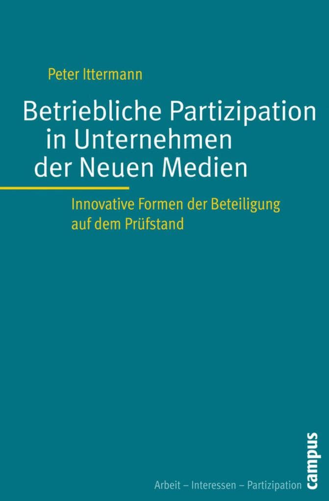 Betriebliche Partizipation in Unternehmen der Neuen Medien