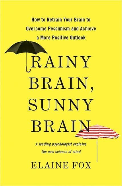 Rainy Brain, Sunny Brain