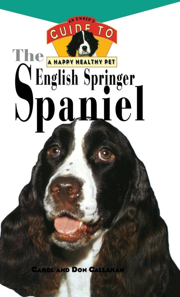 The English Springer Spaniel