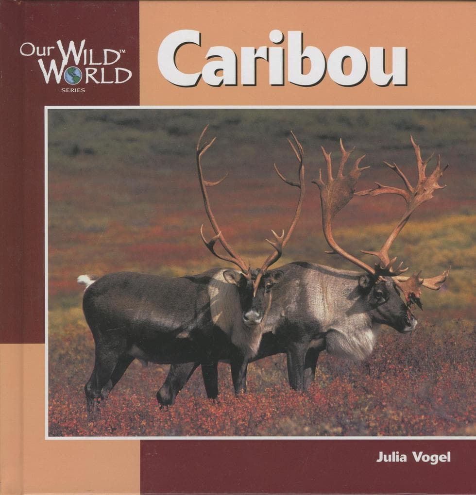 Caribou