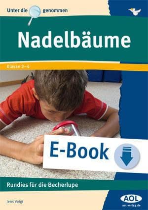 Nadelbäume