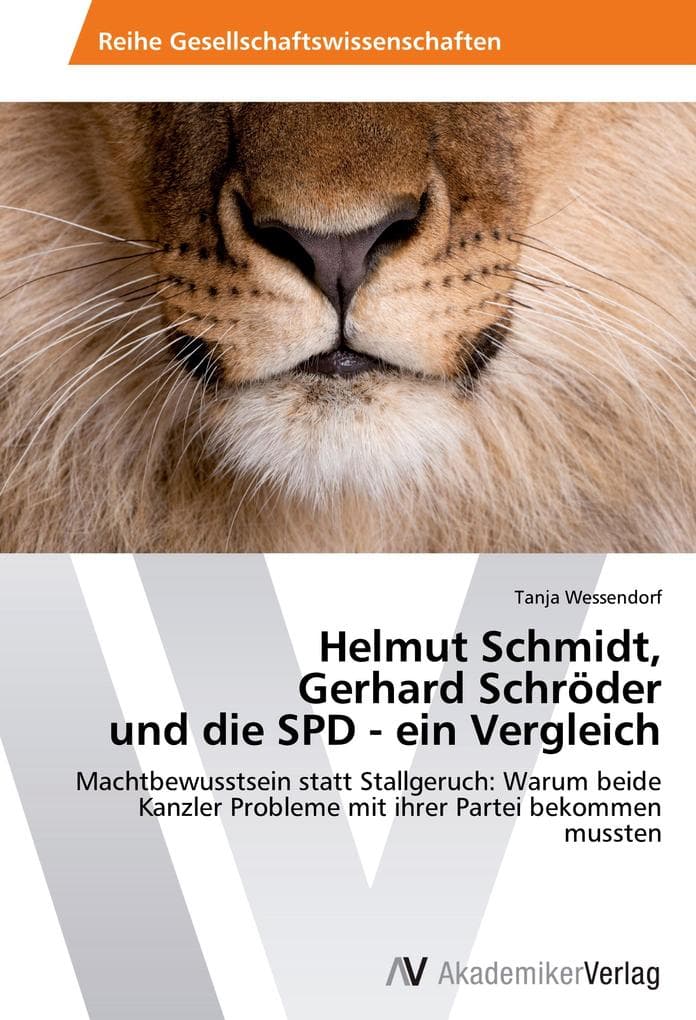 Helmut Schmidt, Gerhard Schröder und die SPD - ein Vergleich