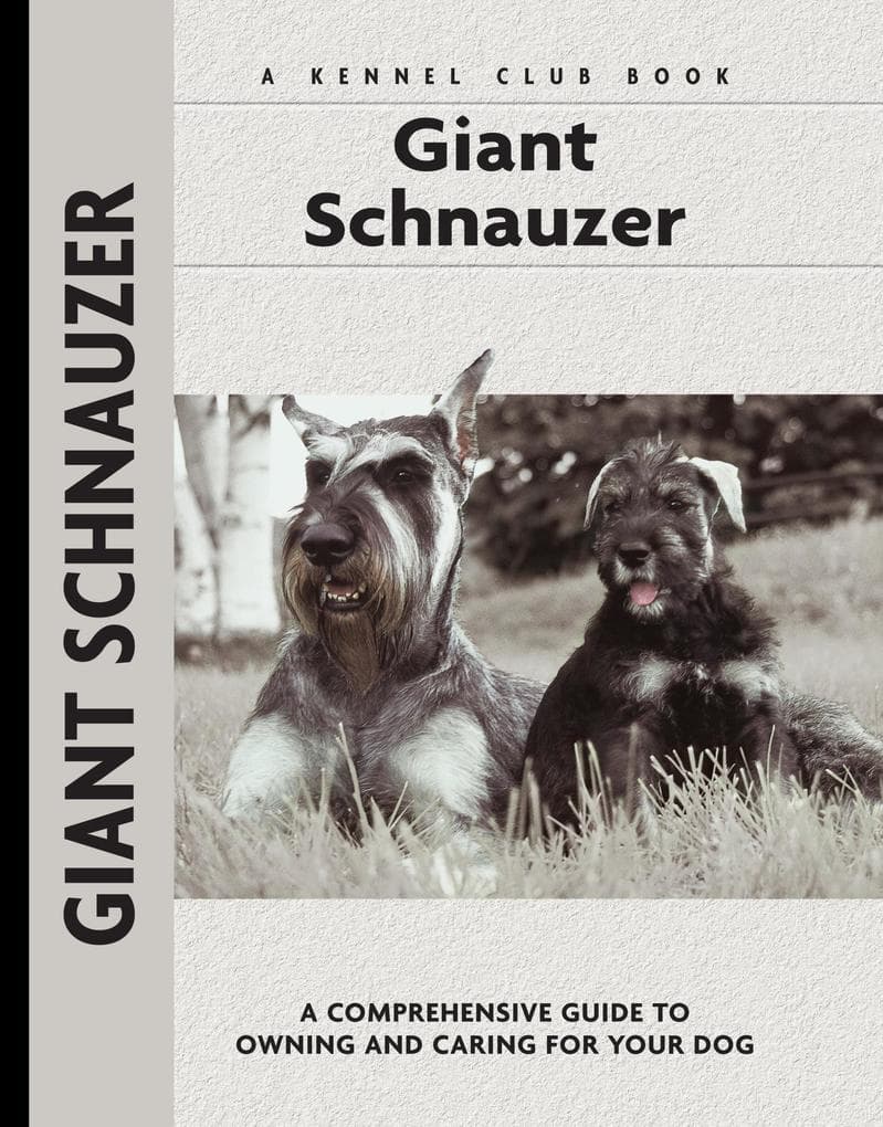 Giant Schnauzer
