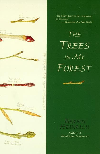 Trees in My Forest, The