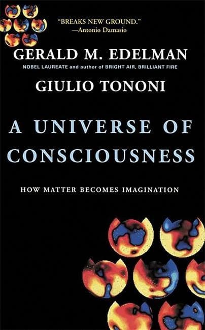 A Universe of Consciousness