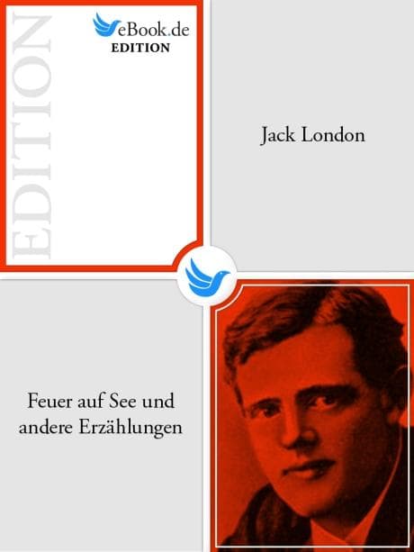 Feuer auf See und andere Erzählungen