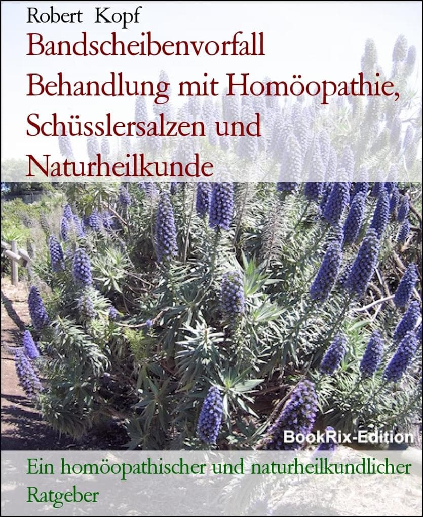 Bandscheibenvorfall Behandlung mit Homöopathie, Schüsslersalzen und Naturheilkunde