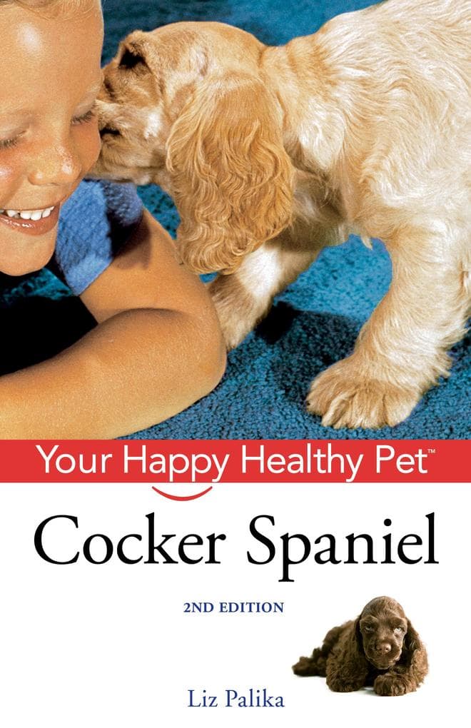 Cocker Spaniel