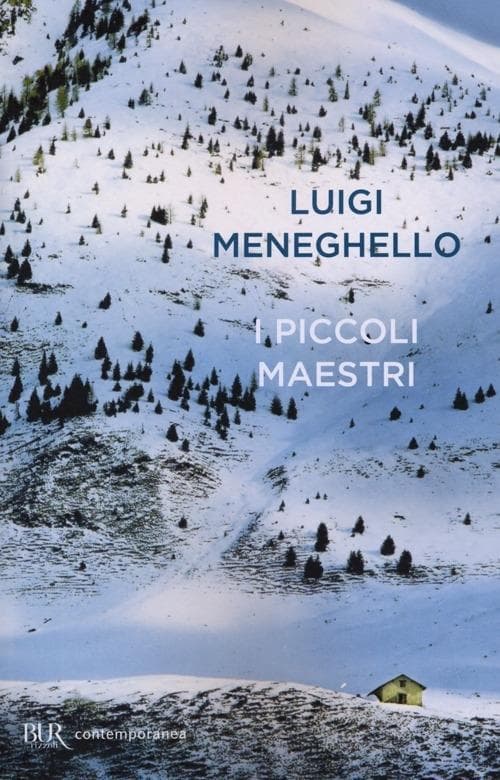 I piccoli maestri