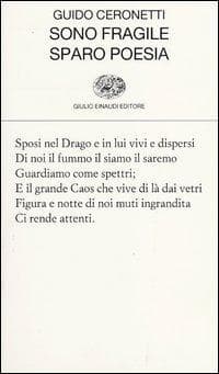 Sono fragile, sparo poesia
