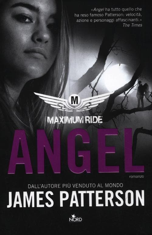 Angel. Maximum ride