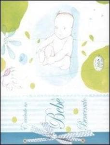 È arrivato un bebé. Benvenuto. Ediz. azzurra