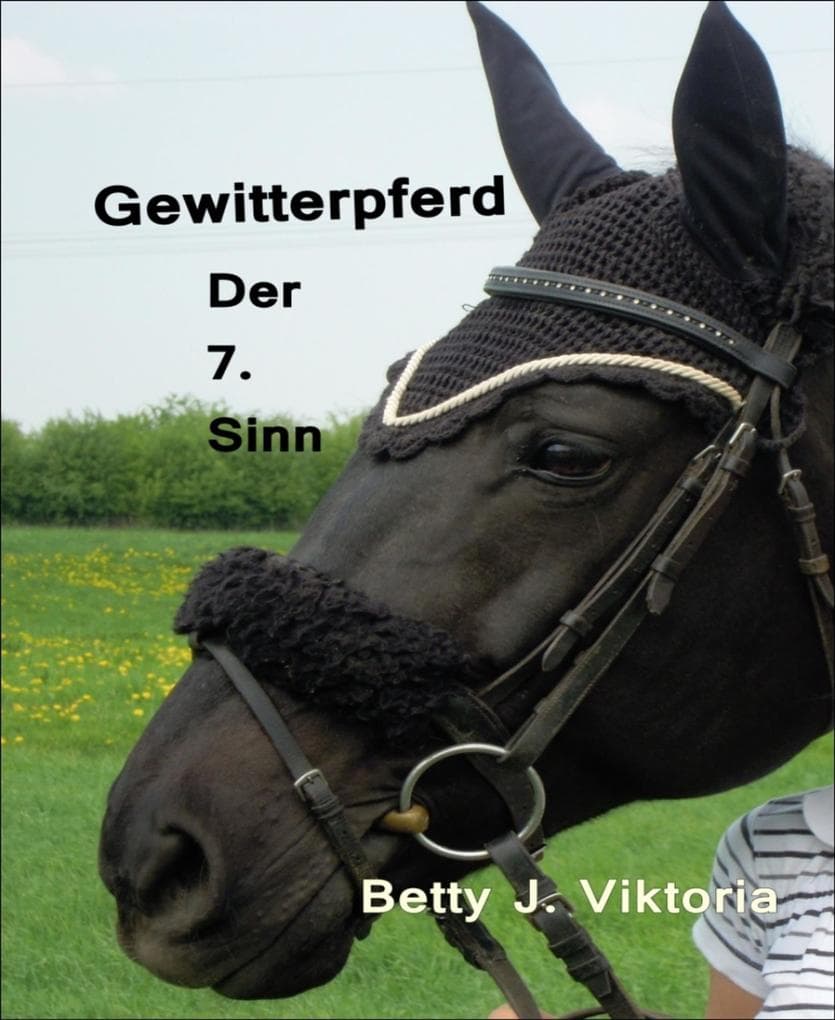 Gewitterpferd