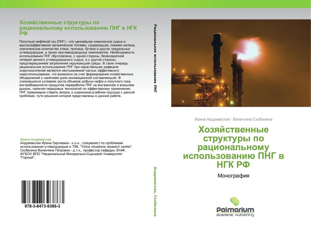 Hozqjstwennye struktury po racional'nomu ispol'zowaniü PNG w NGK RF