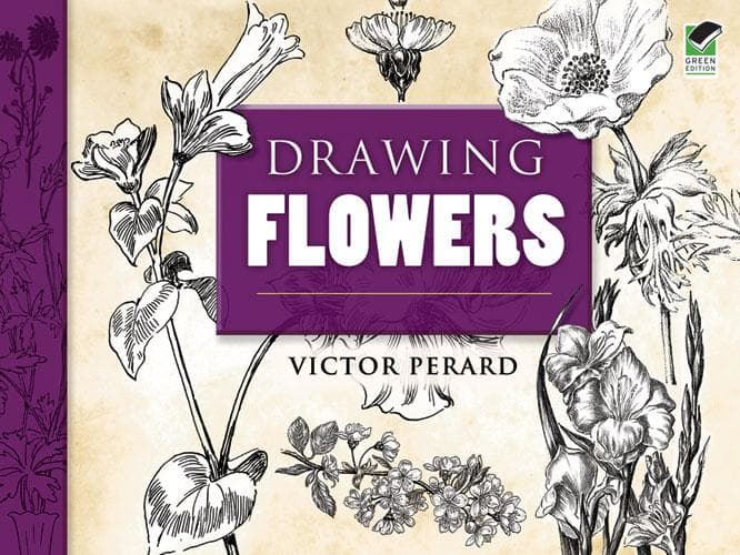 Drawing Flowers
