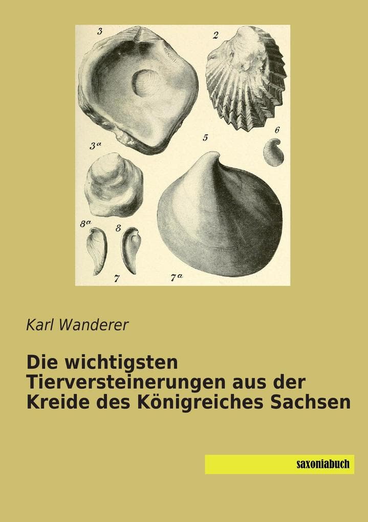 Die wichtigsten Tierversteinerungen aus der Kreide des Königreiches Sachsen