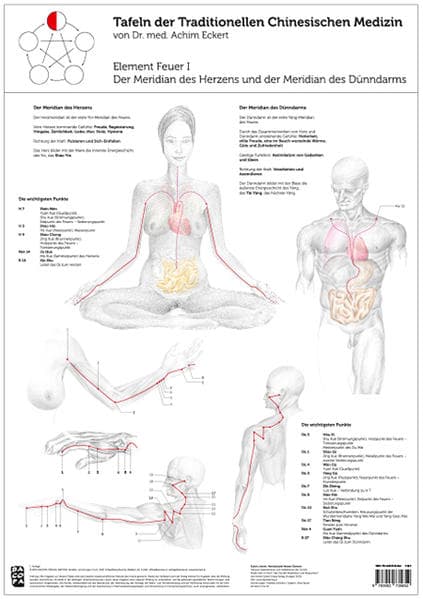Tao Training Meridiantafel Feuer 1 Element