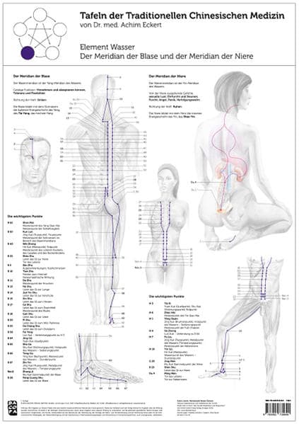 Tao Training Meridiantafel Wasser Element