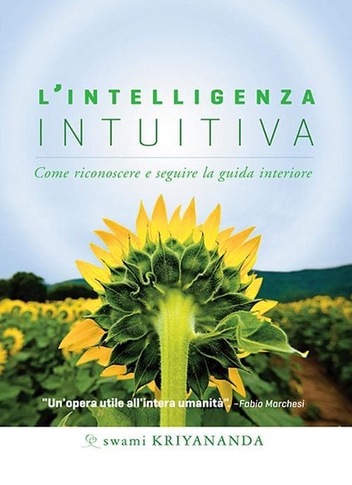 L' intelligenza intuitiva. Come riconoscere e seguire la guida interiore
