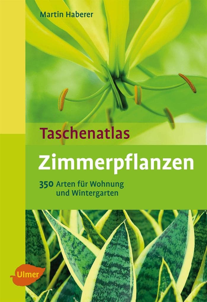 Zimmerpflanzen