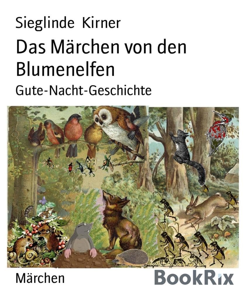 Das Märchen von den Blumenelfen