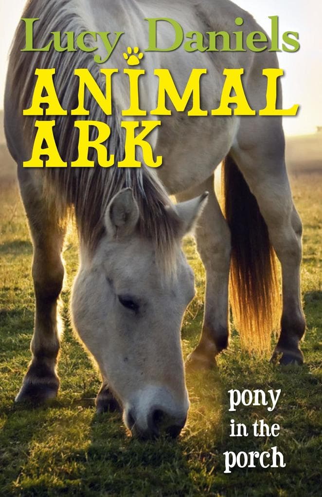 Pony in the Porch