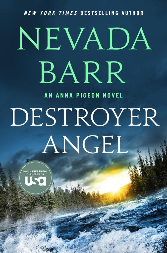 Destroyer Angel
