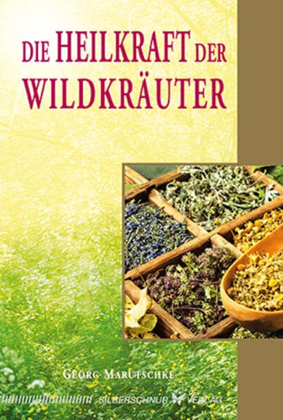 Die Heilkraft der Wildkräuter