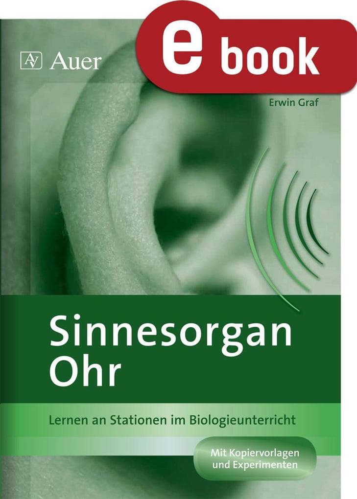Sinnesorgan Ohr