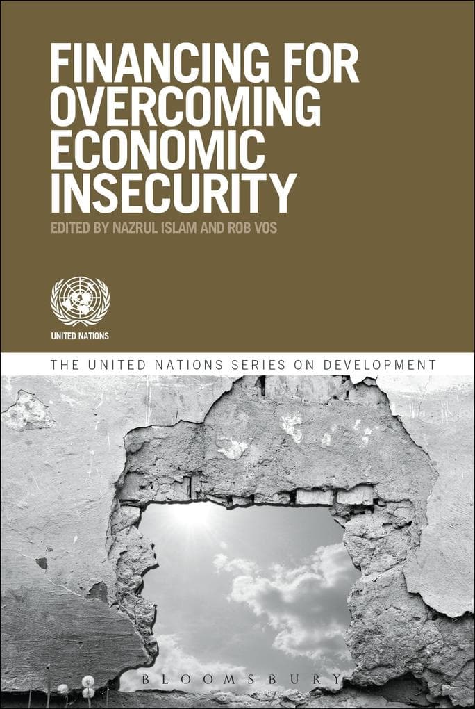 Financing For Overcoming Economic Insecurity