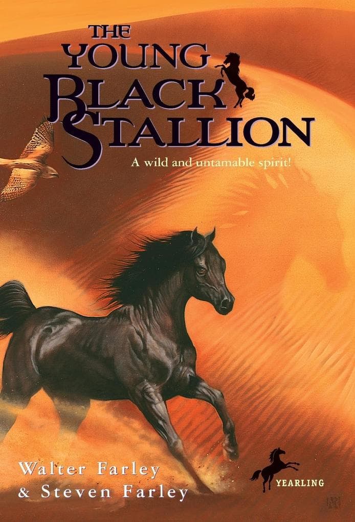 The Young Black Stallion