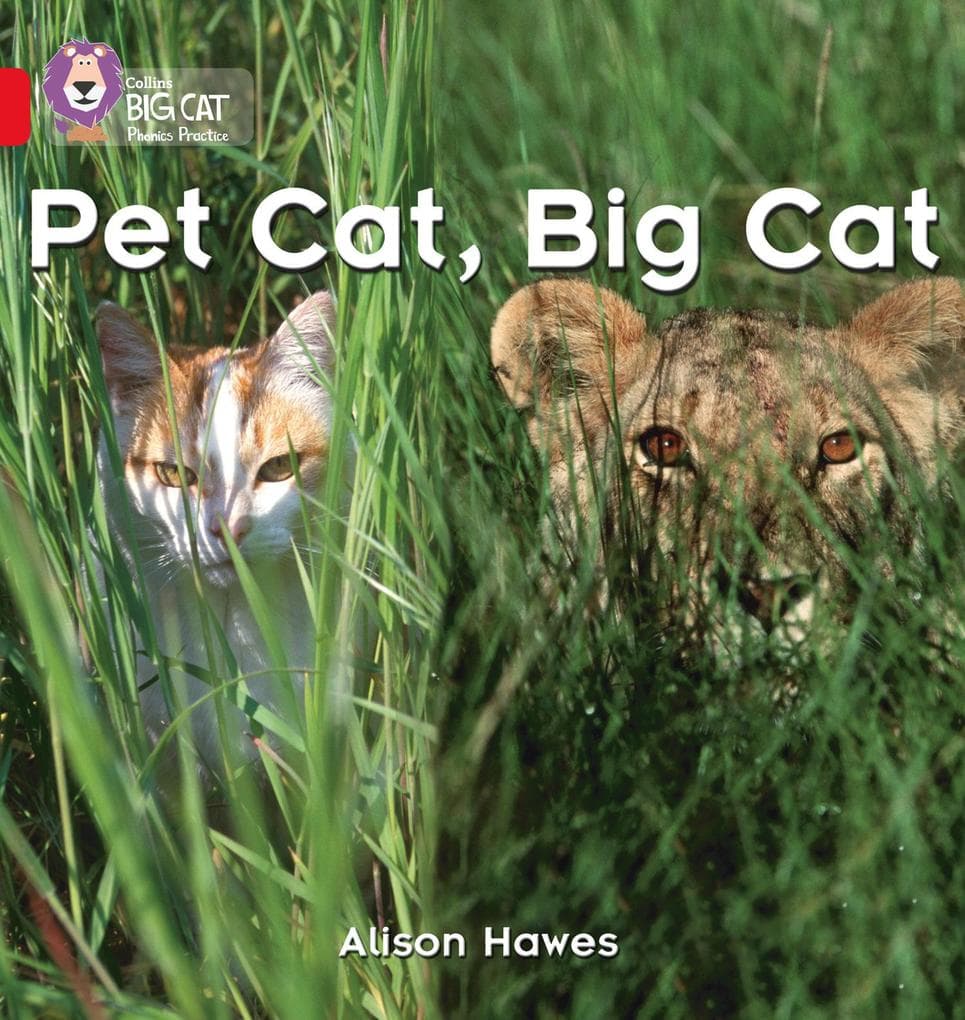 BIG CAT PHONICS - PET CAT BIG