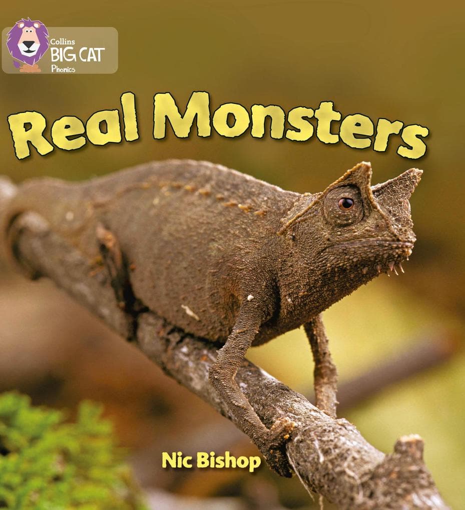BIG CAT PHONICS - REAL MONSTE