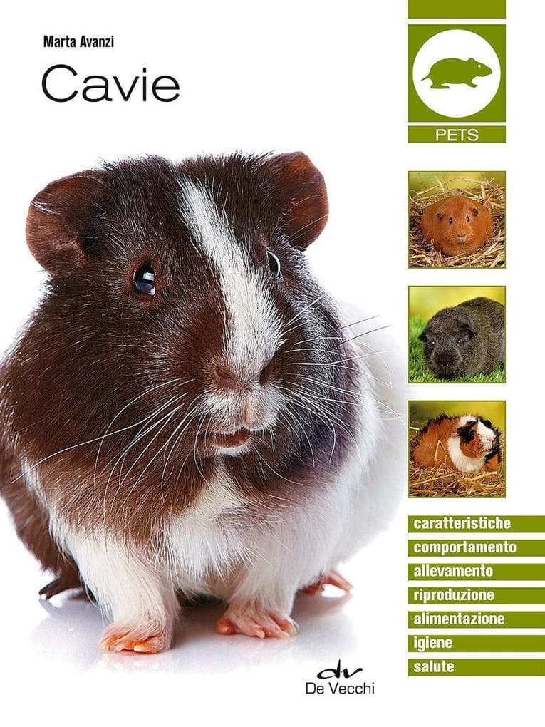 Le cavie