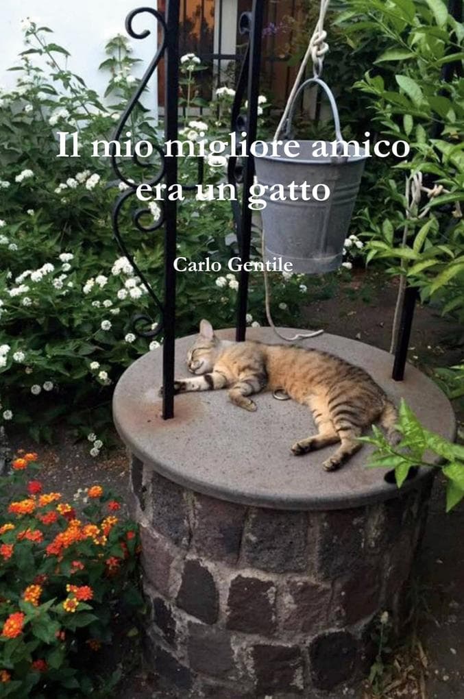 Il mio migliore amico era un gatto